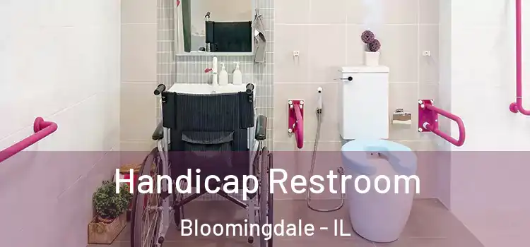  Handicap Restroom Bloomingdale - IL
