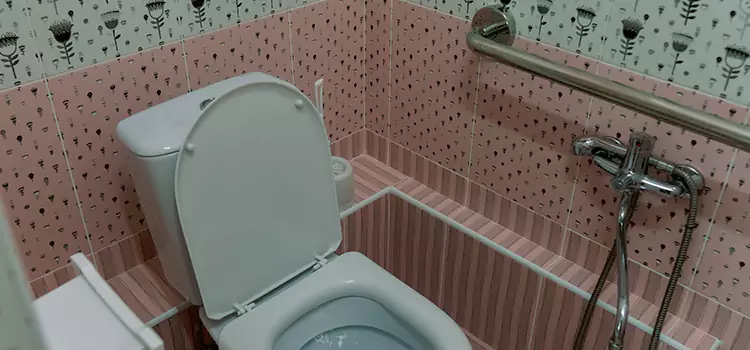 Meeting Diverse Needs With Accessible Restroom Solutions in Bloomingdale, IL