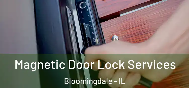  Magnetic Door Lock Services Bloomingdale - IL